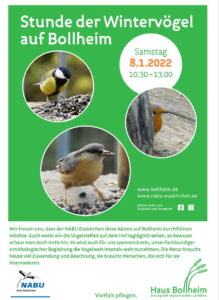 Vögel auf Bollheim