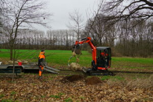 Pflanzaktion auf Bollheim