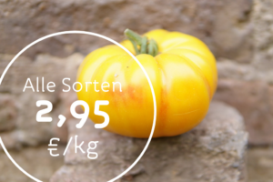 Bollheimer Tomatenvielfalt