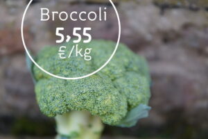 Bollheimer Broccoli