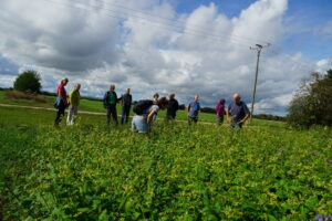 Bollheimer Biodiversitätsspaziergang