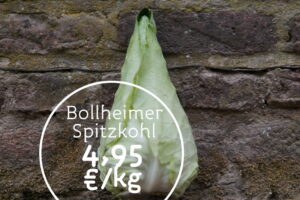 Bollheimer Spitzenkohl