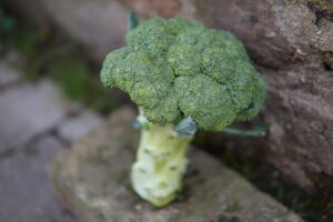 Bollheimer Herbstgemüse