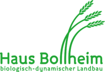 bollheim.de