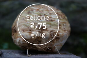 Bollheimer Sellerie