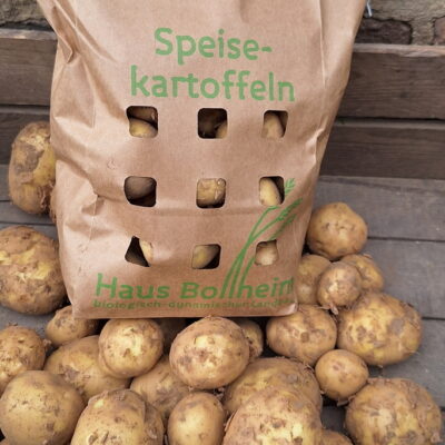 Frühkartoffel Solist aus Bollheim