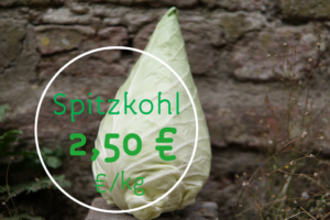 Spitzkohl Angebot