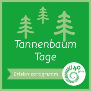 Bollheimer Tannenbaumtage 2022