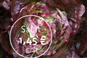 Bollheimer Salat