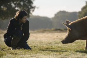 Filmbild Wildes Land