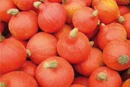 Bollheimer Produkte als Abo