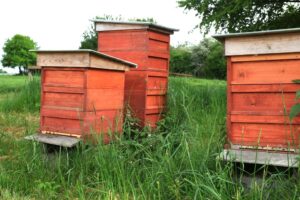 Bienenkästen auf Haus Bollheim