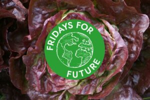 Fridays for future