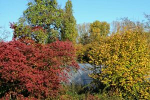 Welche Farben hat der Herbst?