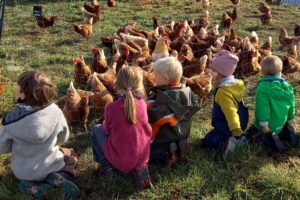 Hofkindergarten auf Haus Bollheim