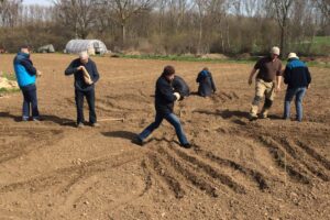 Rundgang mit Wintersaat im Bollheimer Zuchtgarten