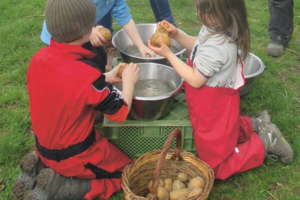 Kinderaktion Haus Bollheim Kartoffeln schrubben