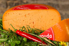 kaese-bauerngouda-zugabe