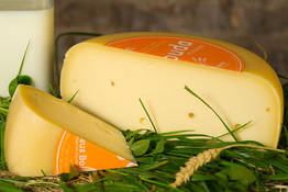 kaese-hofgouda-mittel