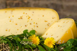 kaese-hofgouda-zugabe